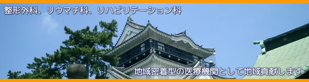  愛知県岡崎市 整形外科,リウマチ科,エコーガイド下筋膜リリース ませぎ整形外科